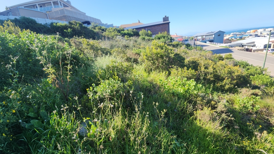0 Bedroom Property for Sale in Island View Western Cape